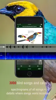 all birds northern peru iphone screenshot 3