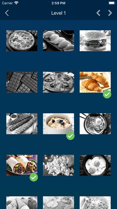 Food Quiz: Guess the Food Screenshot
