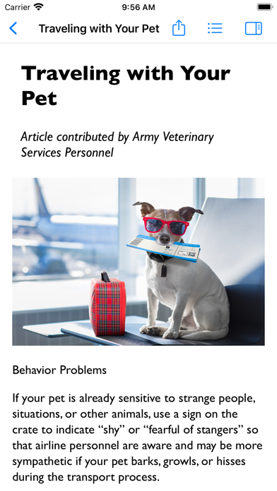 Military Pet Education Screenshot