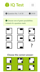 Real IQ Test screenshot