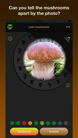 Game screenshot Learn Forest Mushrooms mod apk