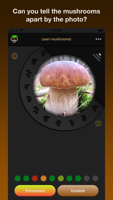 Screenshot #1 pour Learn Forest Mushrooms
