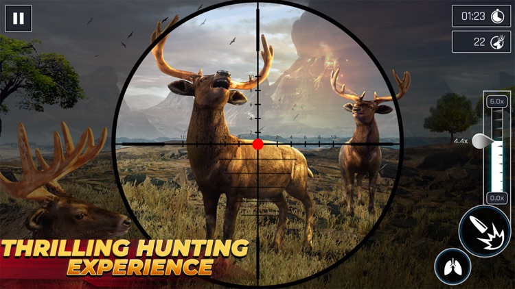 Animal Hunting: Classic Games