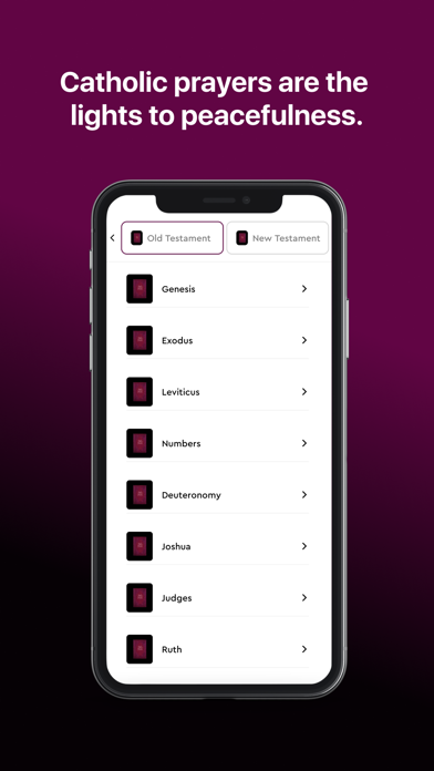 Santo Catholic App Screenshot