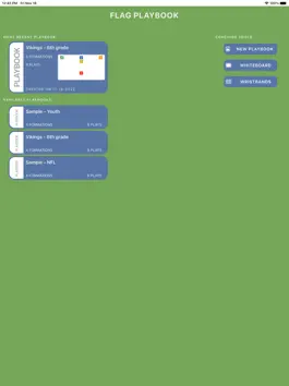 Game screenshot Flag PlayBook mod apk