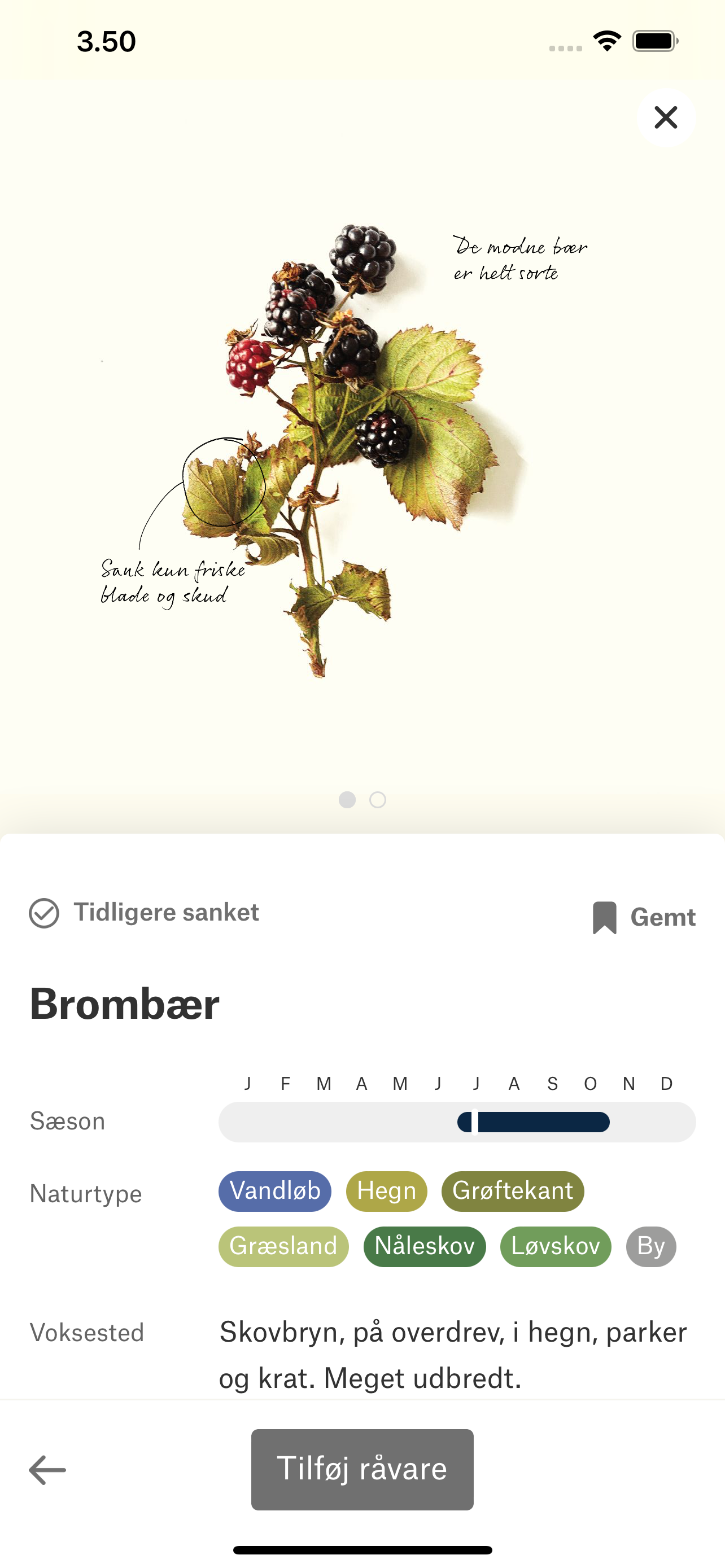 VILD MAD