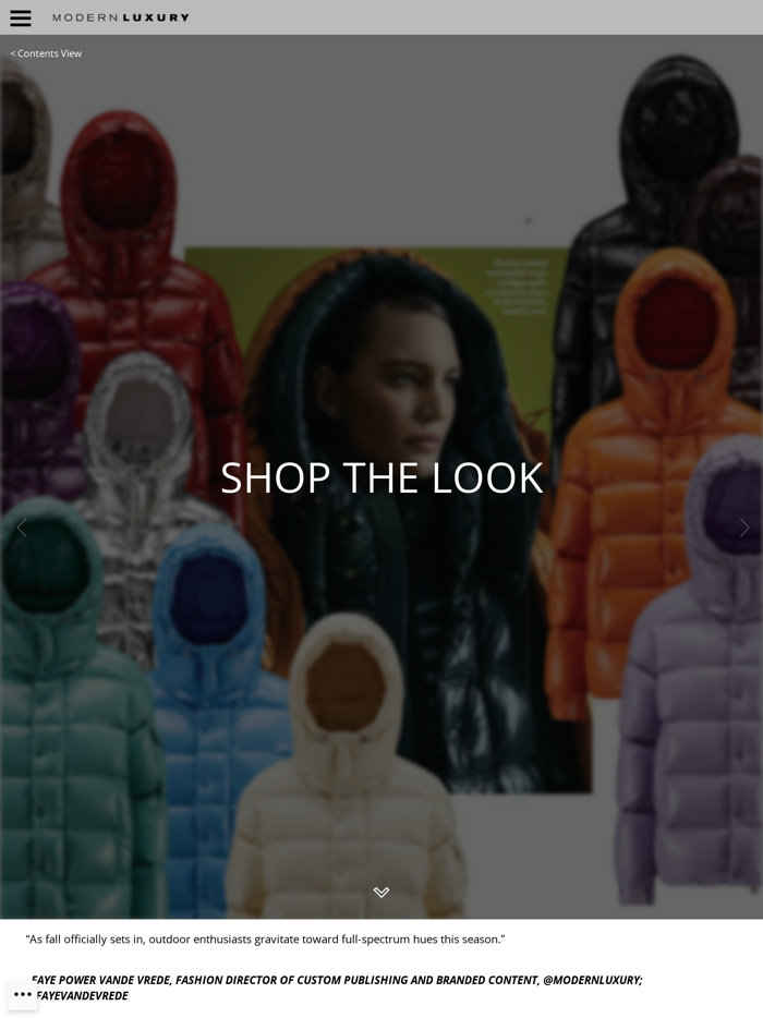 Modern Luxury Silicon Valley