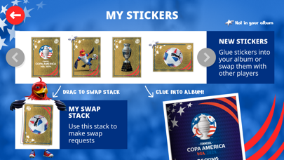 Copa America Panini Collection Screenshot