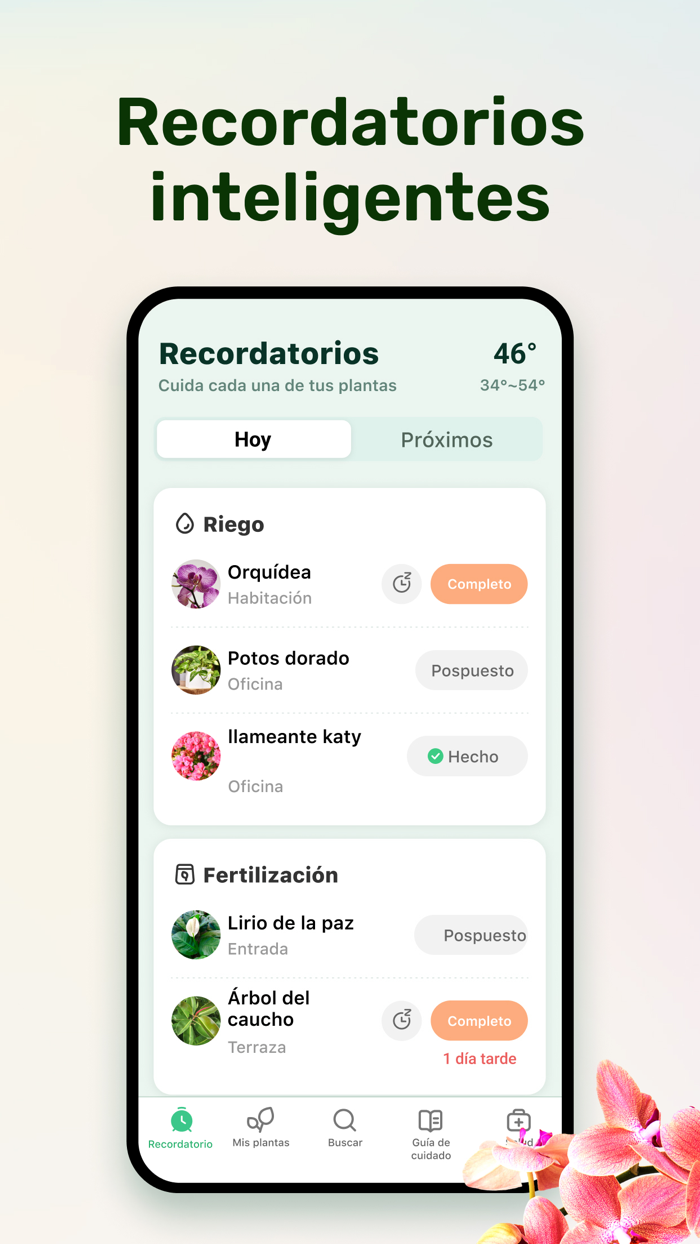 Plant Parent - Guía de cuidado