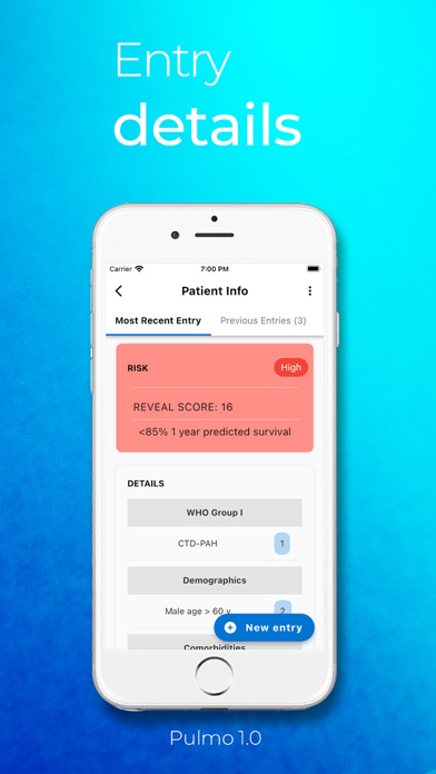 Pulmo Standard Screenshot