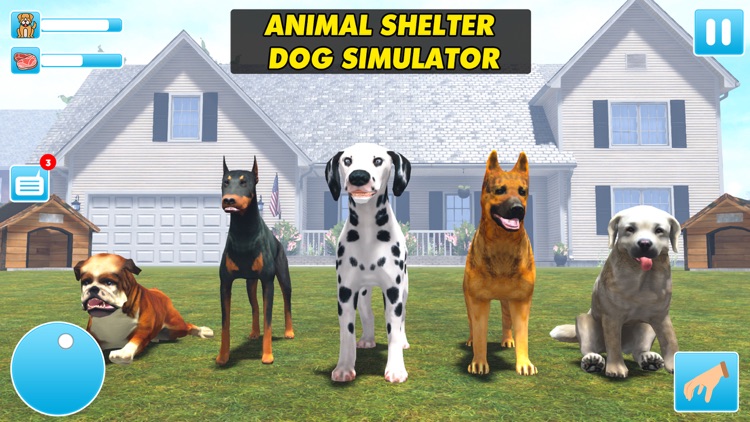 Animal Shelter Dog Rescue Game