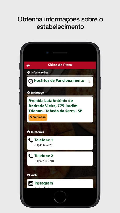 Skina da Pizza Delivery Screenshot