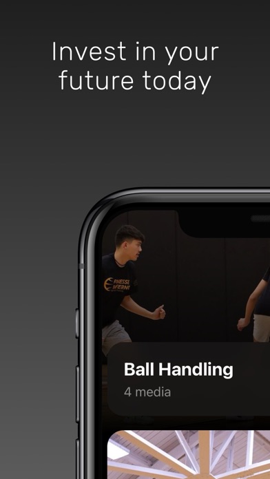 Finesse Inferno Basketball Screenshot