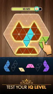 woody poly block hexa triangle iphone screenshot 4