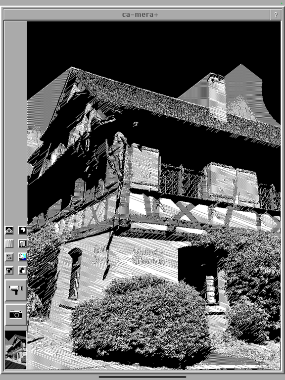 ca-mera+ iPad screenshot 2 - Photo & Video app