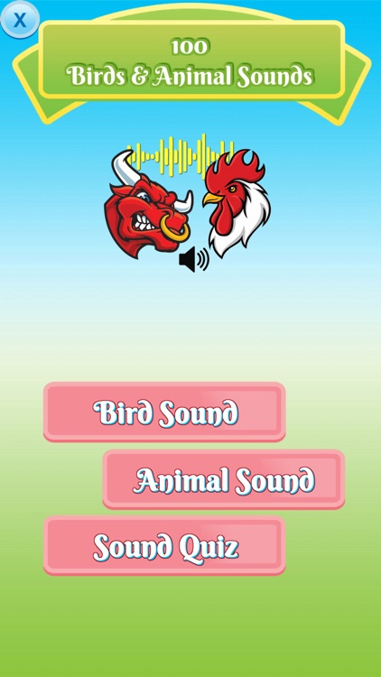100 Animal Bird Sound for Baby