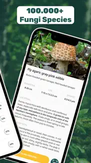 fungi: mushroom identification iphone screenshot 3