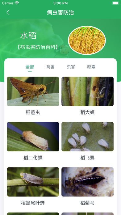 知稻 Screenshot