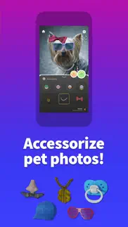 pet animator - send ecards iphone screenshot 2