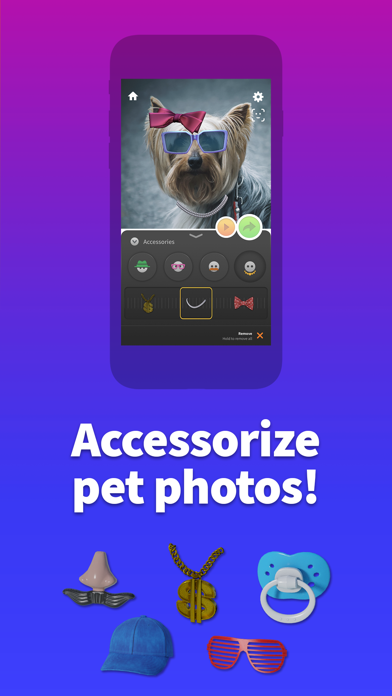 Screenshot 2 of Pet Animator - Send eCards App