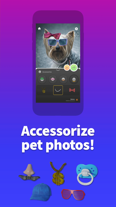 Pet Animator - Send eCards Screenshot