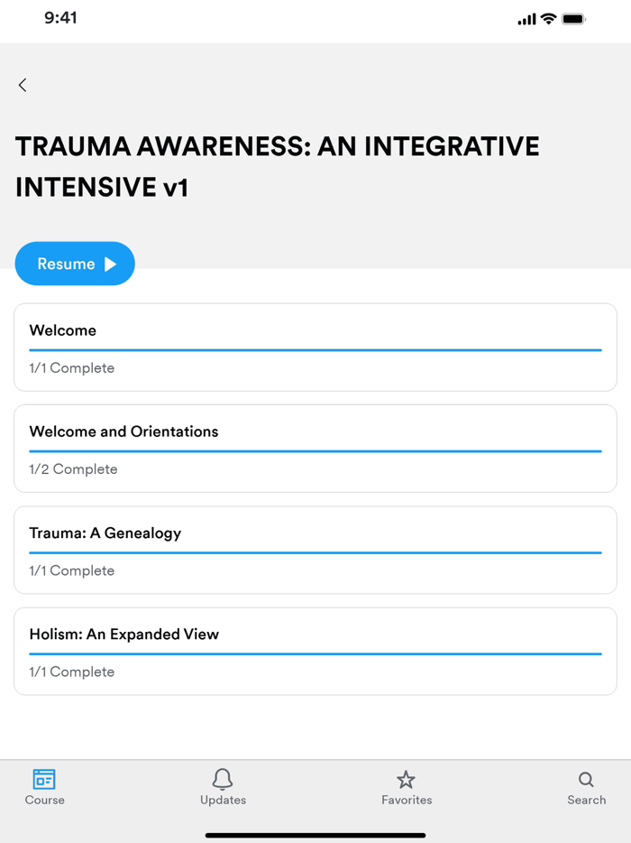 Integrative Trauma Institute