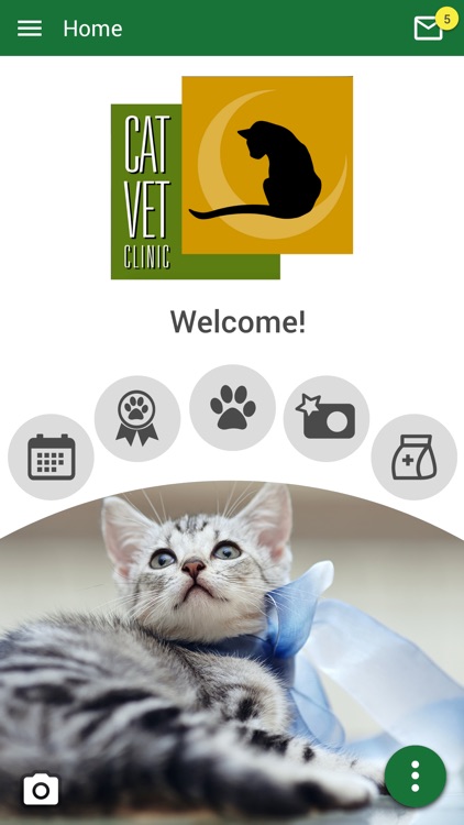 Cat Vet Clinic
