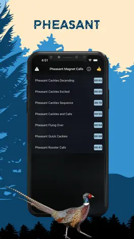 Game screenshot Pheasant Magnet-Pheasant Calls mod apk