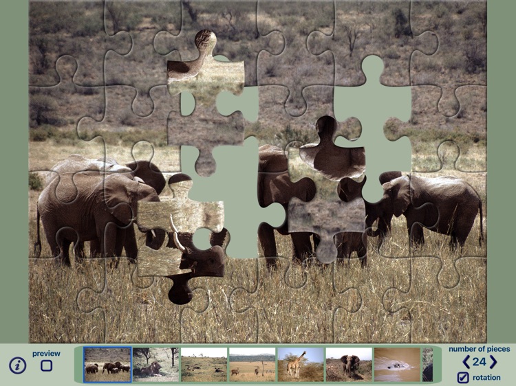 African Wildlife Puzzles