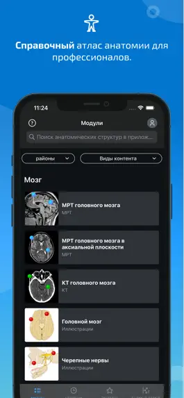 Game screenshot IMAIOS e-Anatomy mod apk