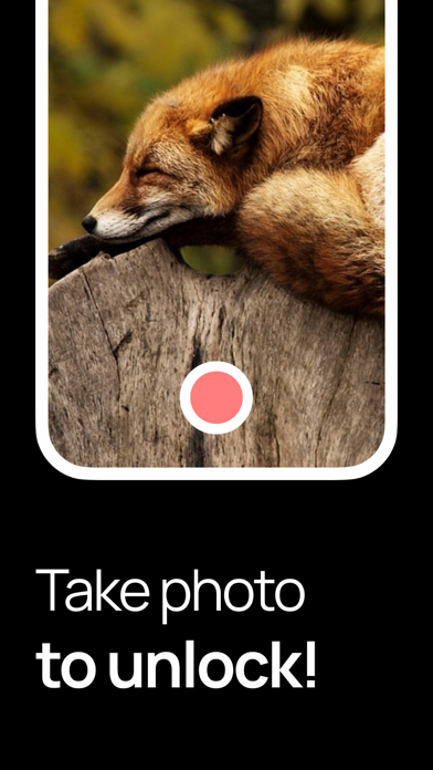 The 900 App Screenshot