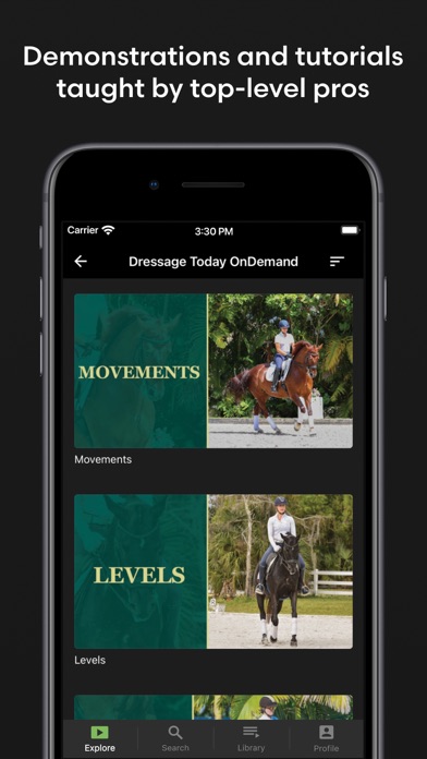Equestrian+ Screenshot