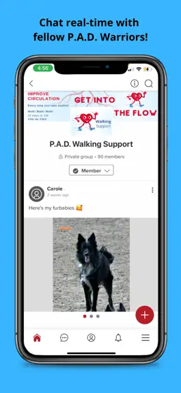 Game screenshot Peripheral Artery Disease: PAD apk