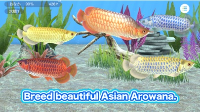 My Asian arowana Aquarium Screenshot