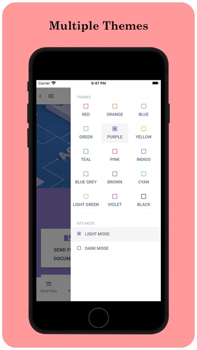 Radix Accounting Screenshot