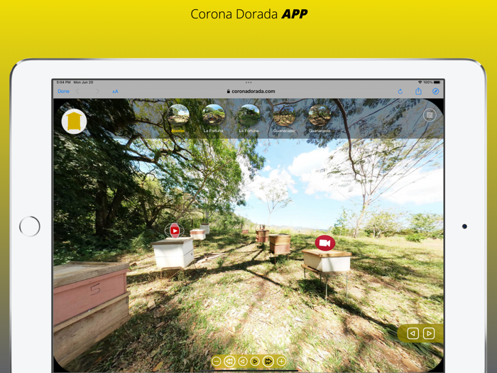 Corona Dorada APP