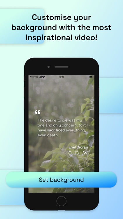 Philosophy Phrases Every Day