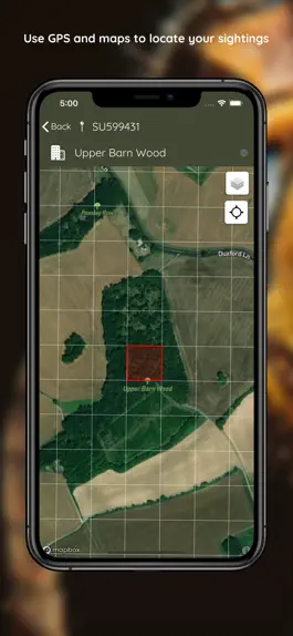 Game screenshot Asian Hornet Watch hack