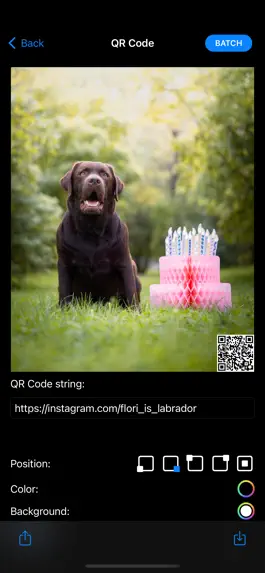 Game screenshot QR Code Watermark Creator ® apk