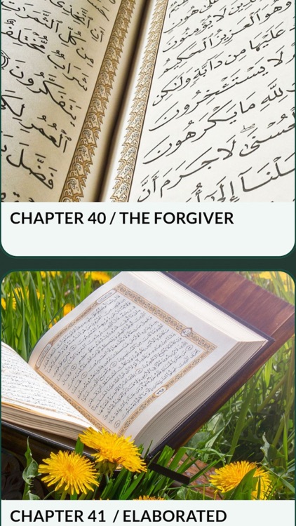 Quran in English Offline Pro screenshot-9