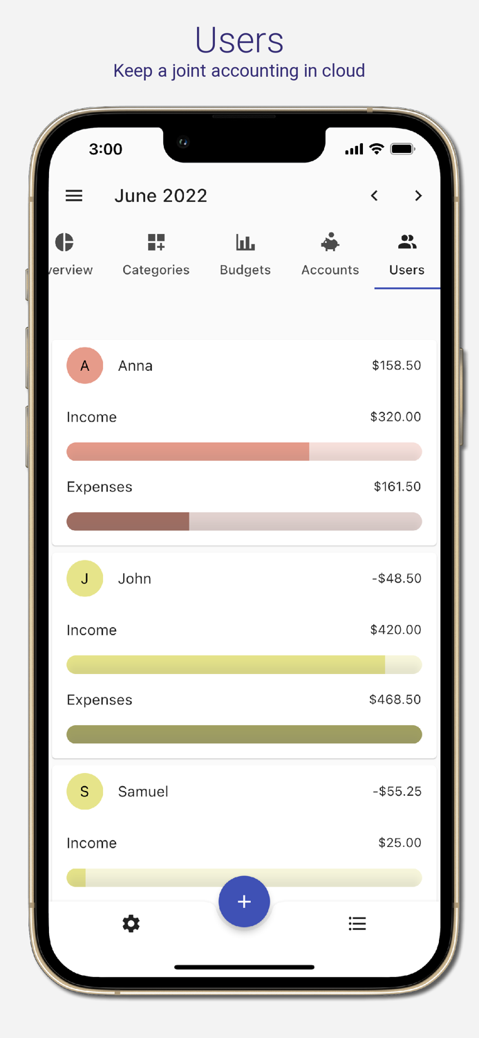 Budget helper - spreadsheets