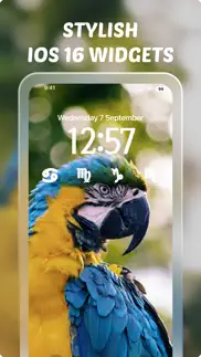 diy widgets: color lock screen iphone screenshot 3