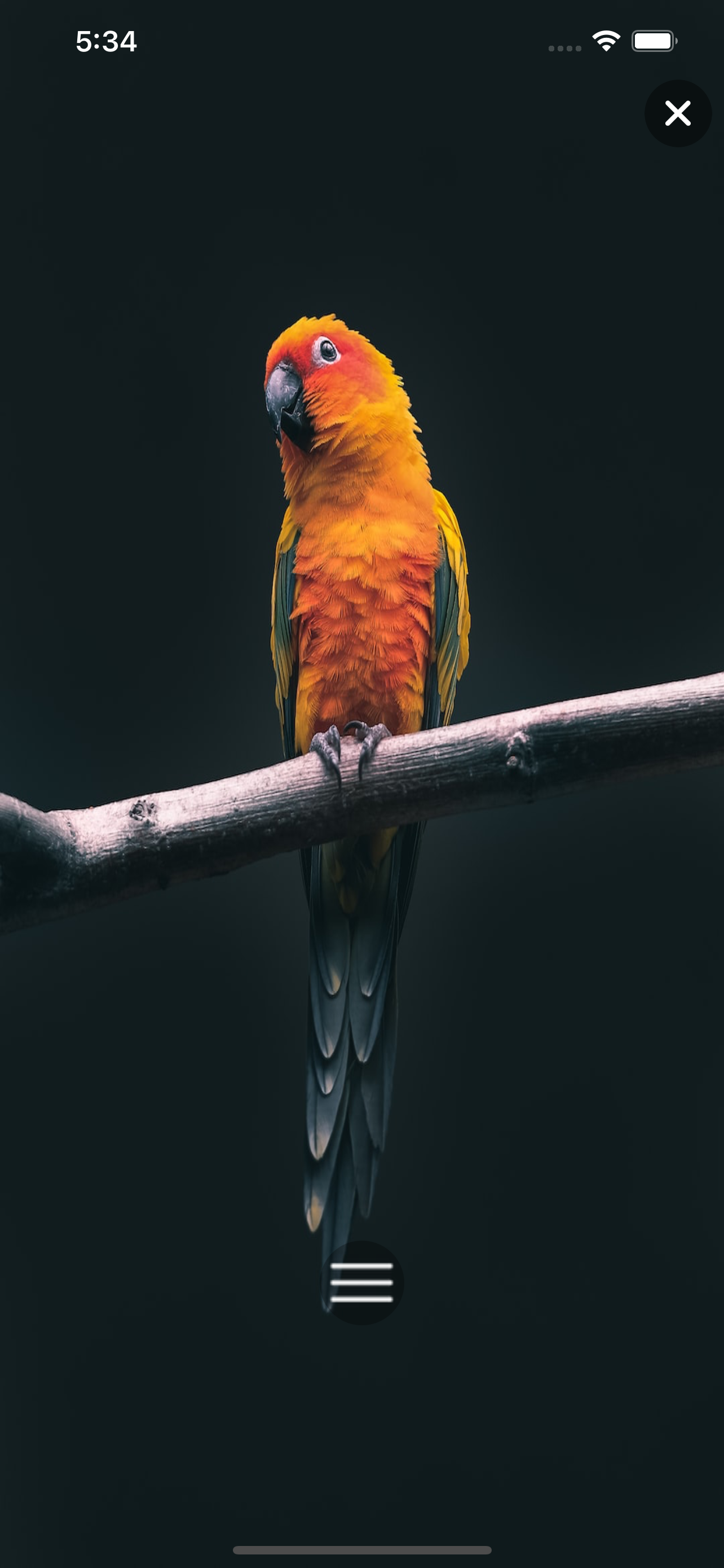 iWallpaper - Trending HD image