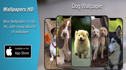 Dog Wallpapers HD Backgrounds Screenshot