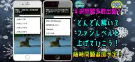 Game screenshot クイズ for スノーマン apk