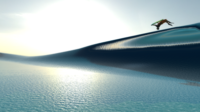 YouRiding - Surf and Bodyboard Screenshot