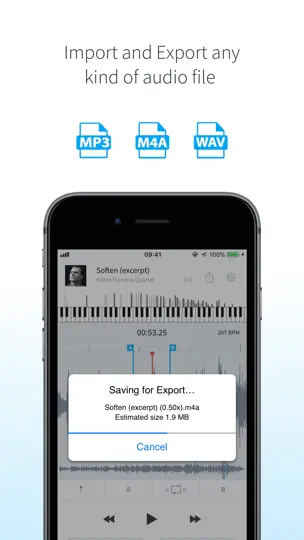 Capture d'écran de AudioStretch sur iPhone 7
