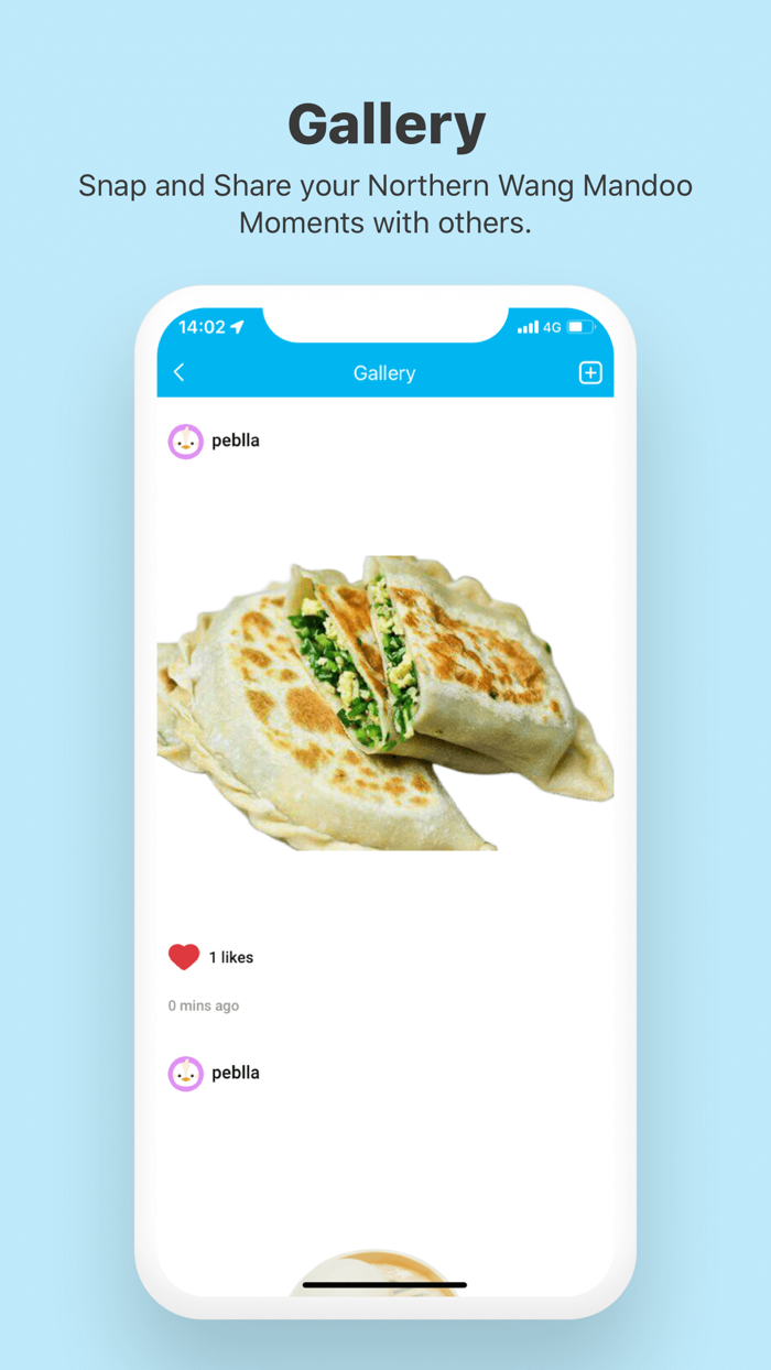 Northern Wang Mandoo