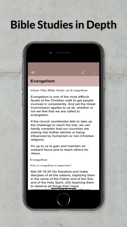 Bible Studies in Depth Daily screenshot-7