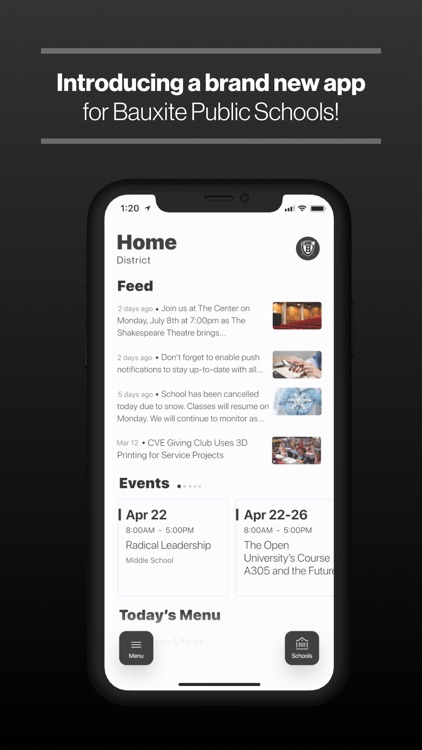 Bauxite Public Schools, AR